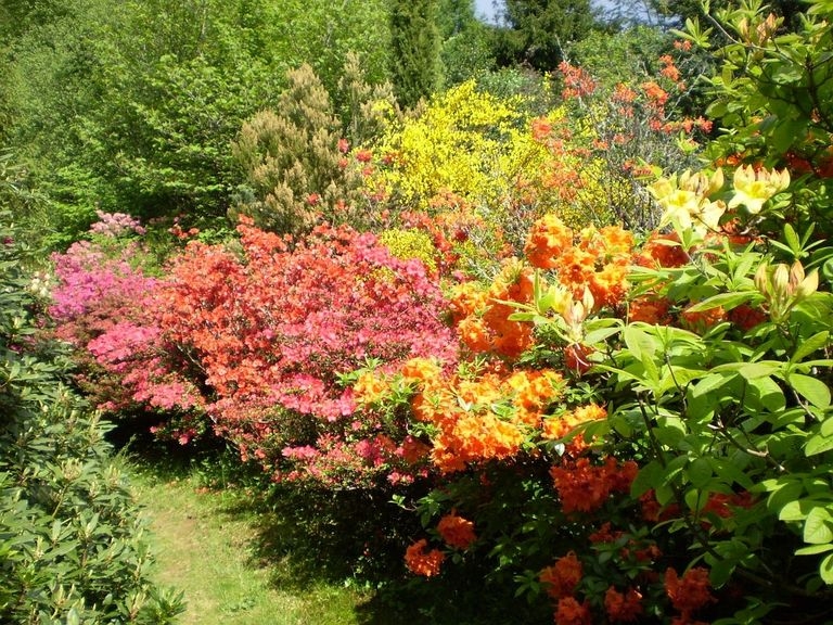 2008 05 Meyssac, le jardin botanique 01